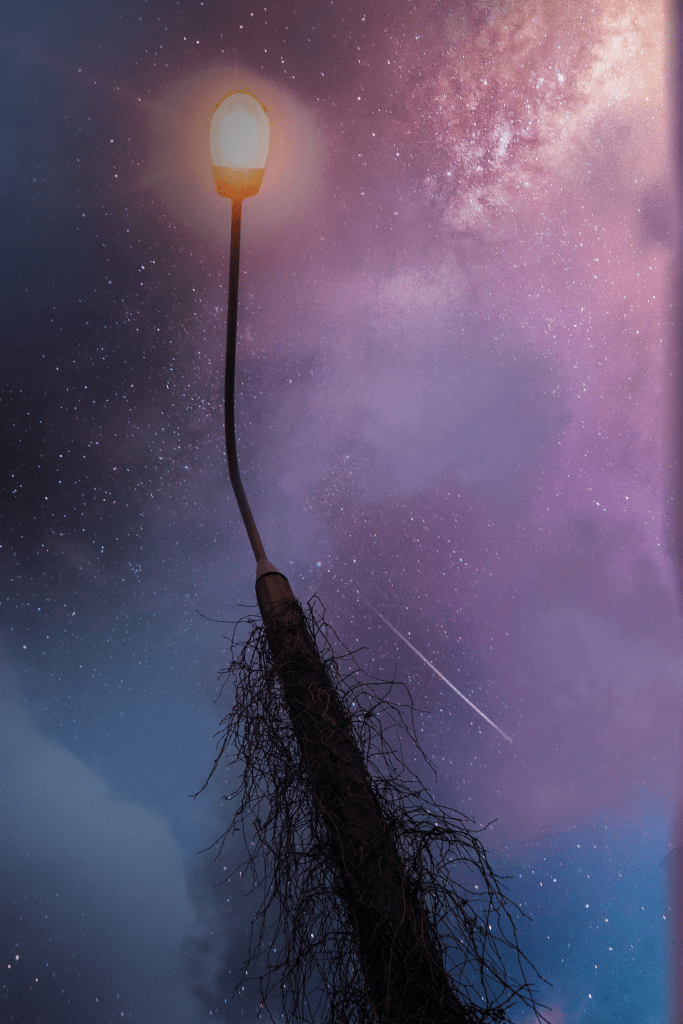 A lamp post growing out of roots, blended with a magical, starry sky – a fusion of nature and surrealism